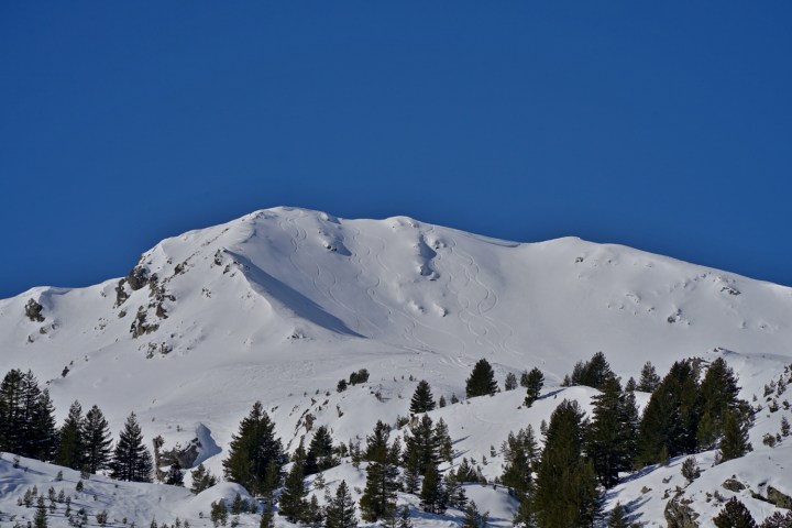 Snow-covered mountain peak with ski tracks and pine trees against a clear blue sky.