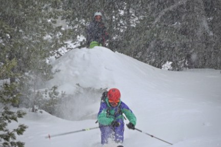 Child skiing downhill in snowy forest with trees in the background.