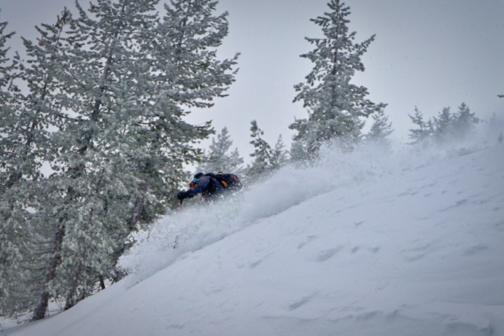 Skier descends snowy slope surrounded by snow-covered trees.