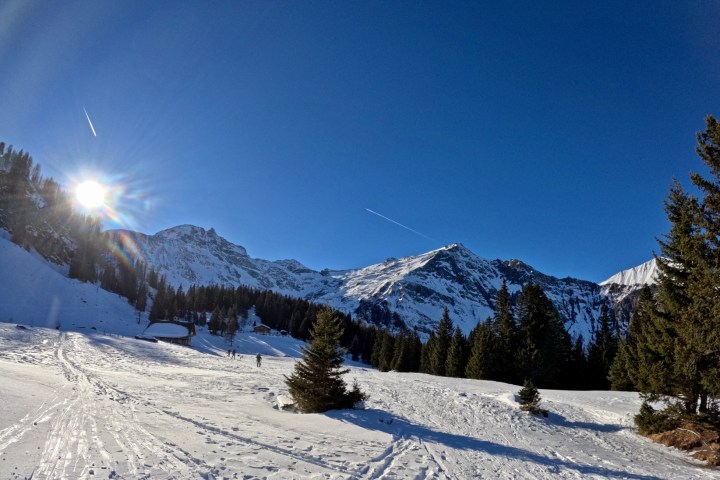 Snowy mountain landscape with pine trees under a bright sun and clear blue sky.