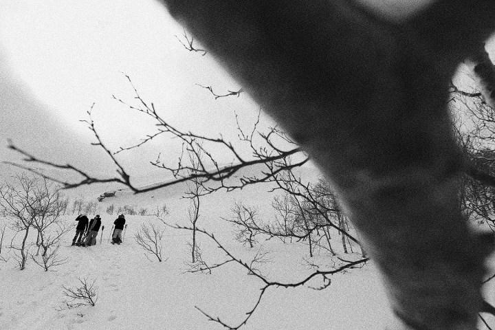 Black and white photo of people skiing uphill through snow and trees.
