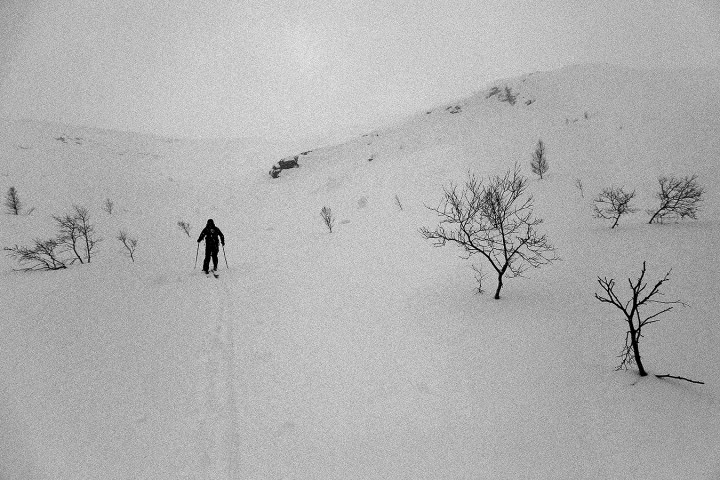 Person skiing through snowy, barren landscape with scattered trees.