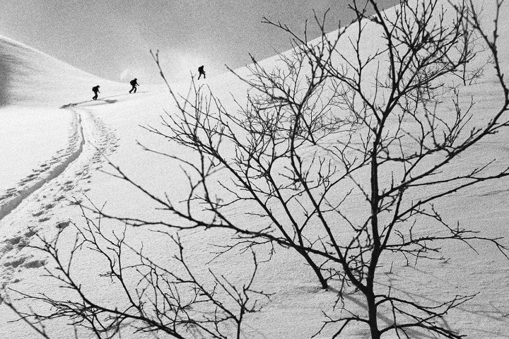 Three skiers ascend snowy hill; barren tree in foreground under overcast sky.