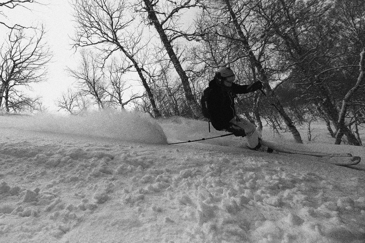 Person skiing downhill in snowy forest, creating a spray of snow.