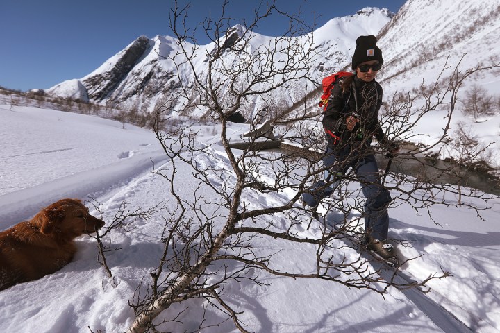 Person snowshoeing with a dog in snowy mountains, a small tree branch in the foreground.