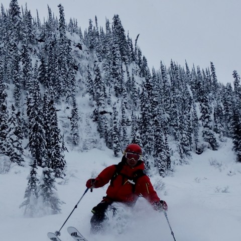 a man riding skis down a snow covered slope