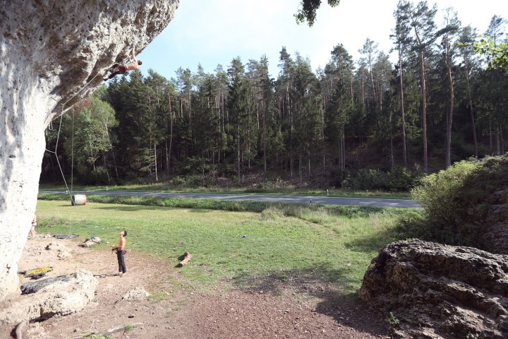 a group of people in a forest
