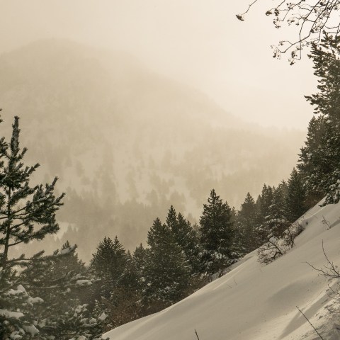 a person riding skis down a snow covered slope