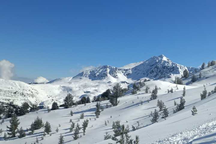 Snow-covered mountains and scattered trees under a clear blue sky.