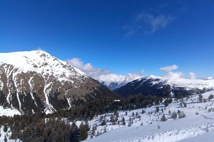 Snow-covered mountains under a clear blue sky with scattered trees in the foreground.