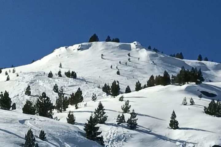 Snow-covered mountain with scattered small trees under a clear blue sky.