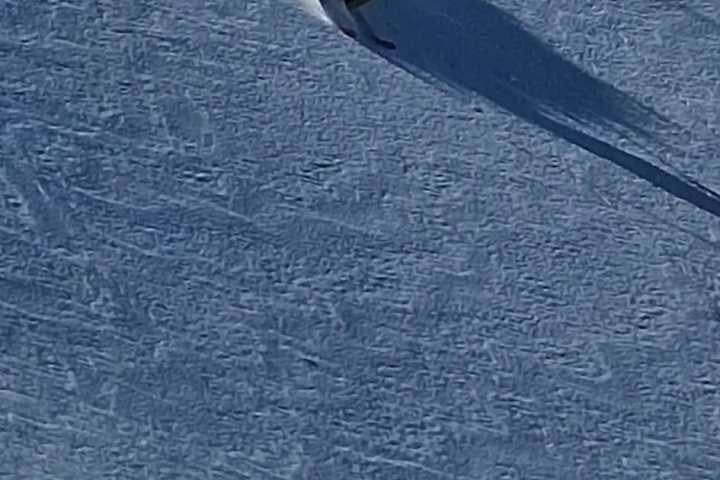 Snowboarder carving a turn on a snowy slope, creating a spray of snow.