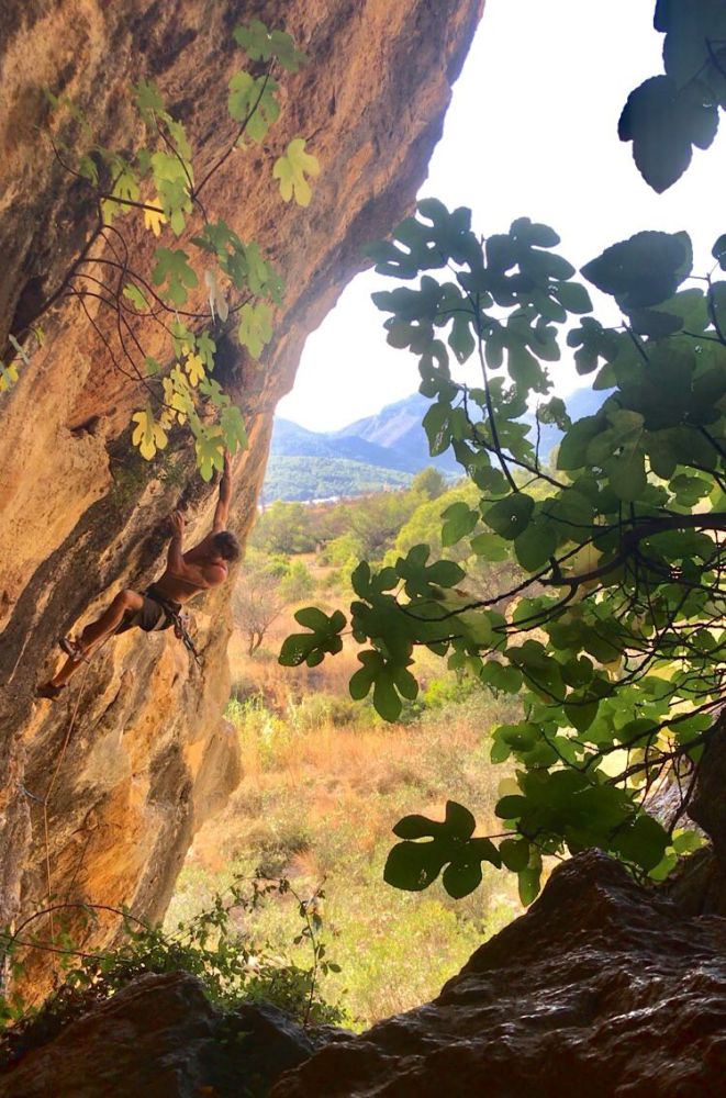 Rock climber scales a cliff amidst lush greenery and a scenic mountain backdrop.
